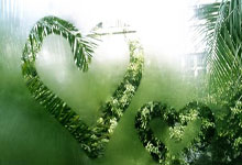 WNBA历史MVP次数排行：威尔逊4次居首，斯沃普斯3次次席