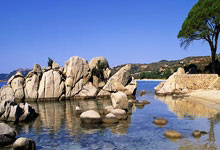 WNBA历史MVP次数排行：威尔逊4次居首，斯沃普斯3次次席